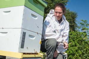 NSF Funded Bee Brain Research