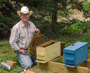 Buying and Establishing Bee Colony Splits